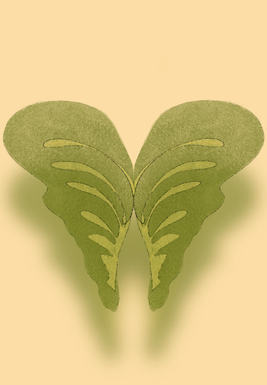 Monstera, 2026. Digital