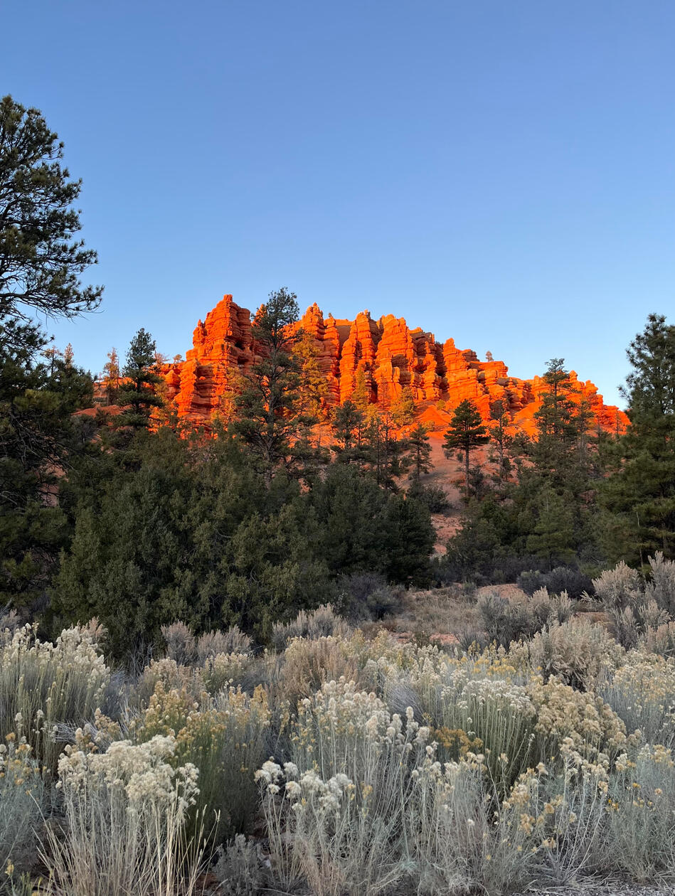 Built to Roam, 2023.