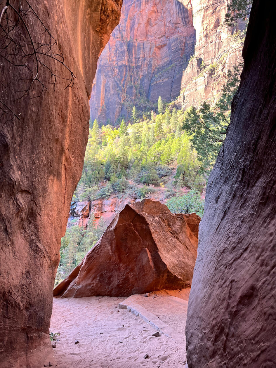 Heaven on Earth: A Clearing, 2023